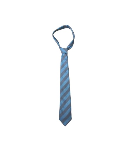 CAISTER ACADEMY TIE, Caister Academy, Free delivery to schools