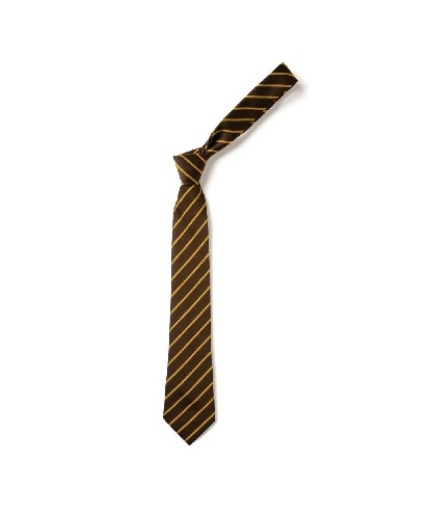 BROWNGOLD TIE, The Old School Henstead