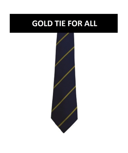 PAKEFIELD HIGH HOUSE TIES, Pakefield High School