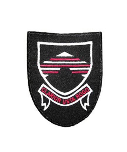 BUNGAY BADGE, Bungay High School