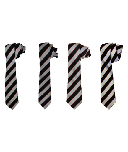 BUNGAY HOUSE TIE, Bungay High School
