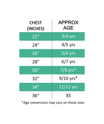 ST EDMUNDS POLO SHIRT, St Edmunds Primary